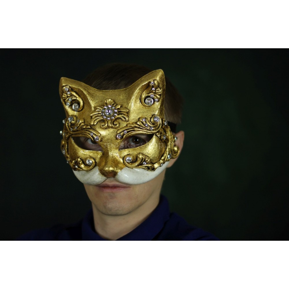 Выступление кота в маске
